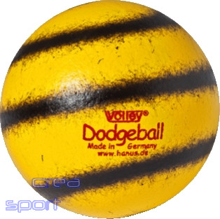 Dodge- / Völkerball Volley