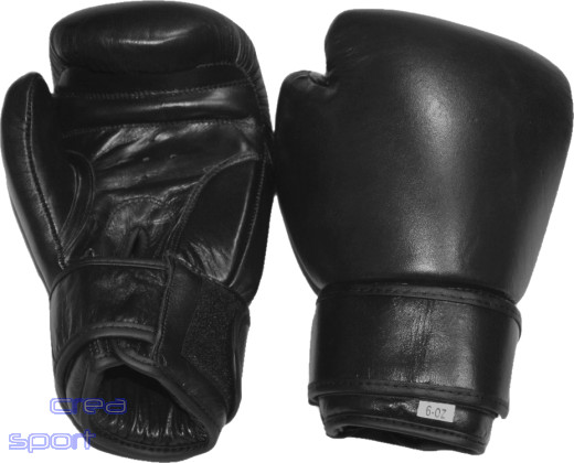 Boxhandschuhe aus Leder